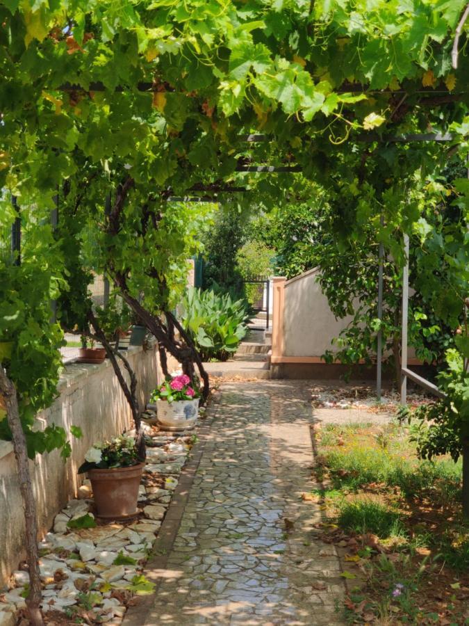 Relax To The Max With The Sea View Appartamento Medolino
